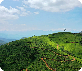 Dambulla Cave Temple